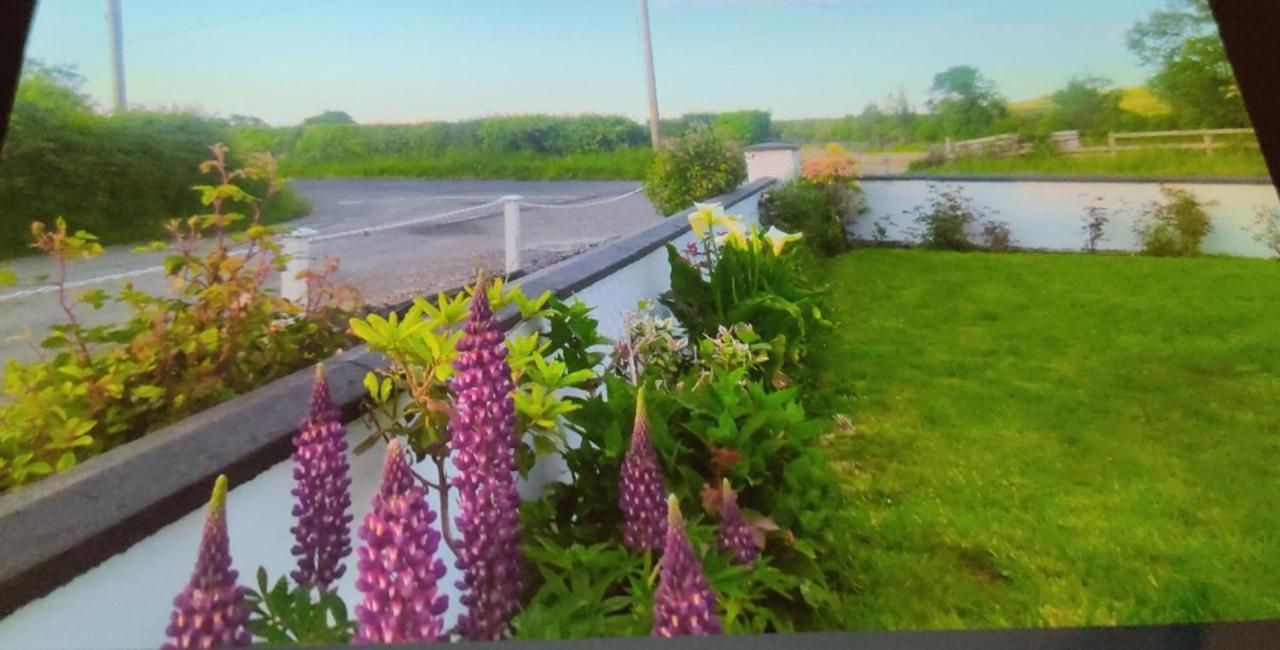 Cozy Cottage Retreat In Listowel Pet Friend Eksteriør bilde
